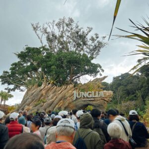 ジャングリア入場前│e-ne.okinawa