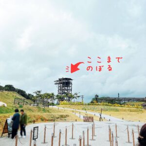 スカイフェニックス│e-ne.okinawa