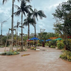 ジャングリア体験レポ4~ショーと細かポイント