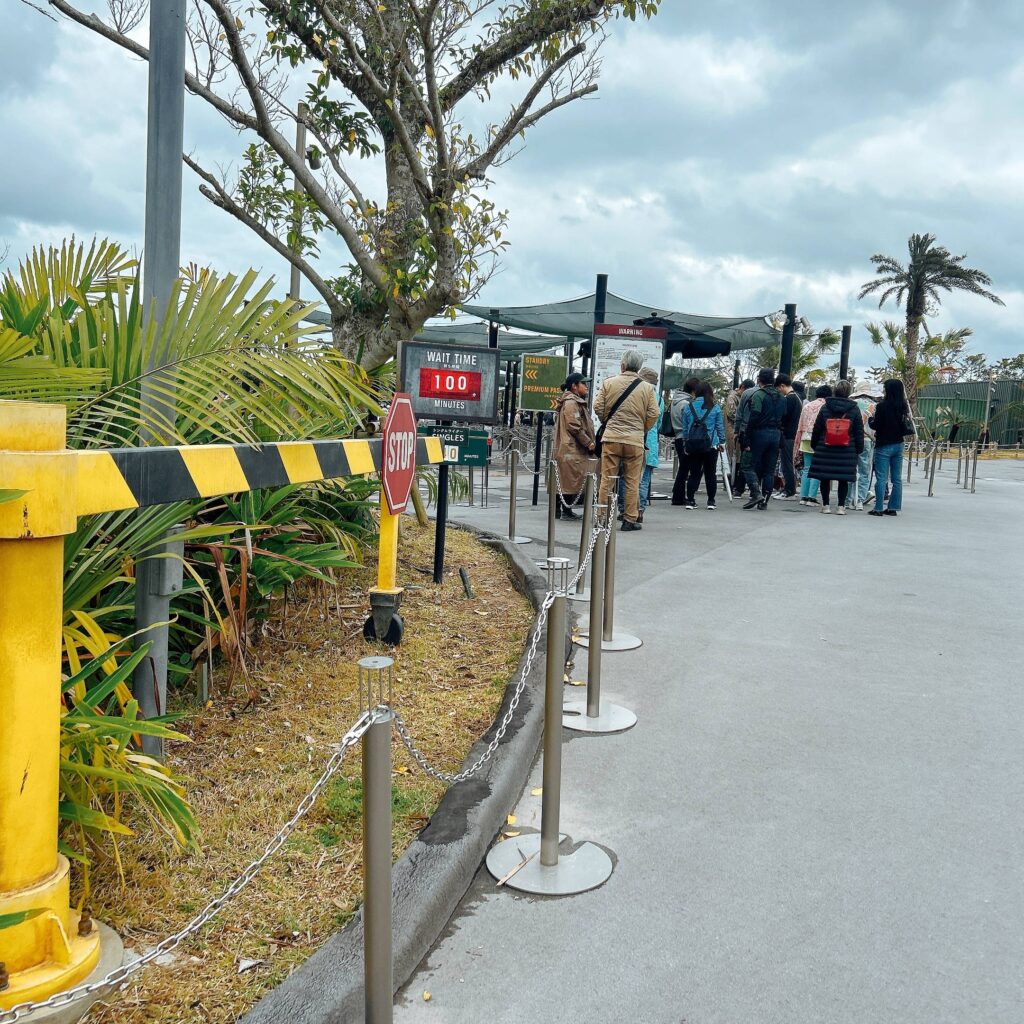 ダイナソーサファリ│e-ne.okinawa