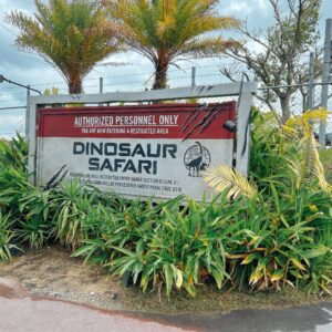 ダイナソーサファリ│e-ne.okinawa