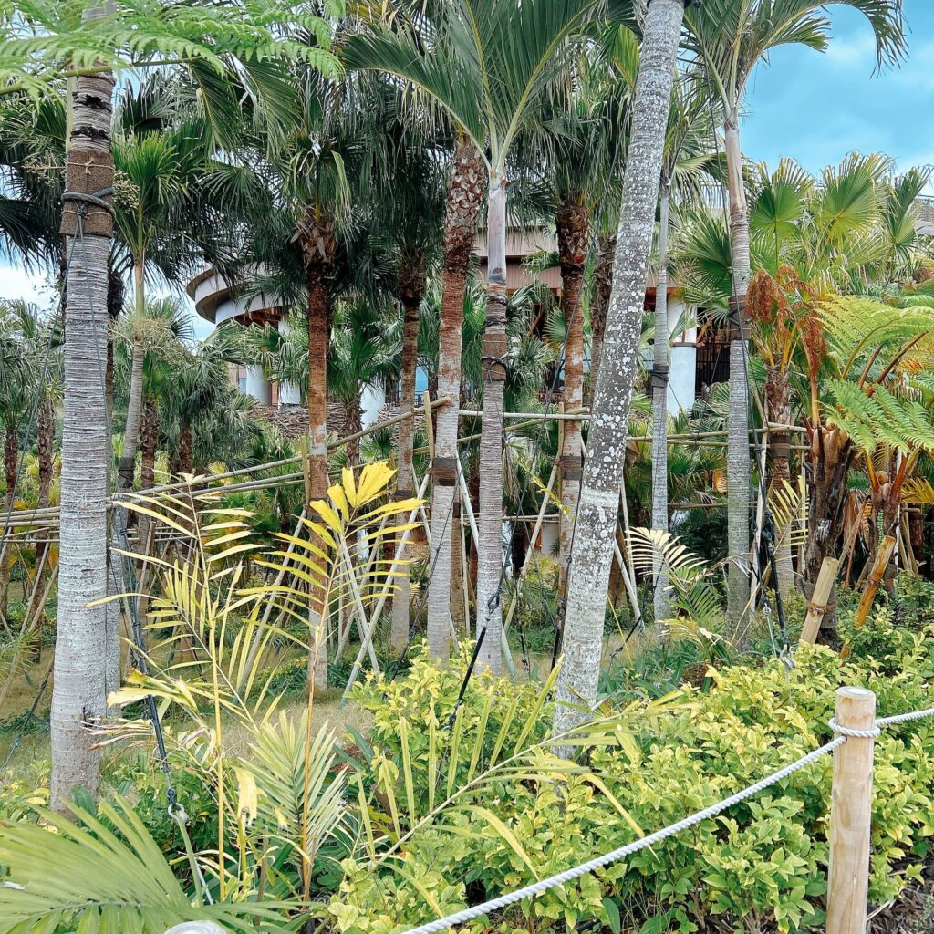 ジャングリア│e-ne.okinawa