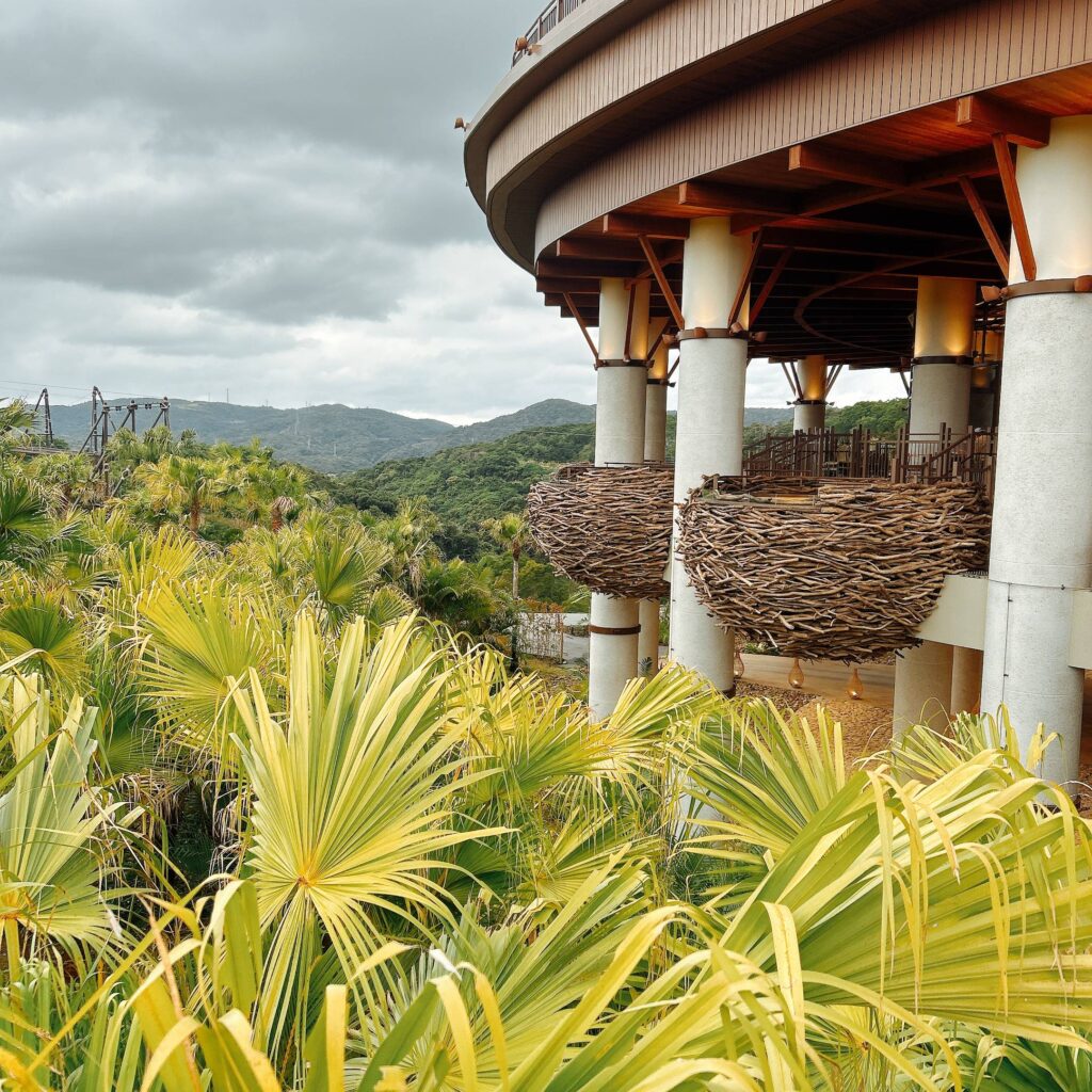 ジャングリアあの風景│e-ne.okinawa