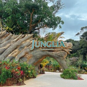 ジャングリア│e-ne.okinawa