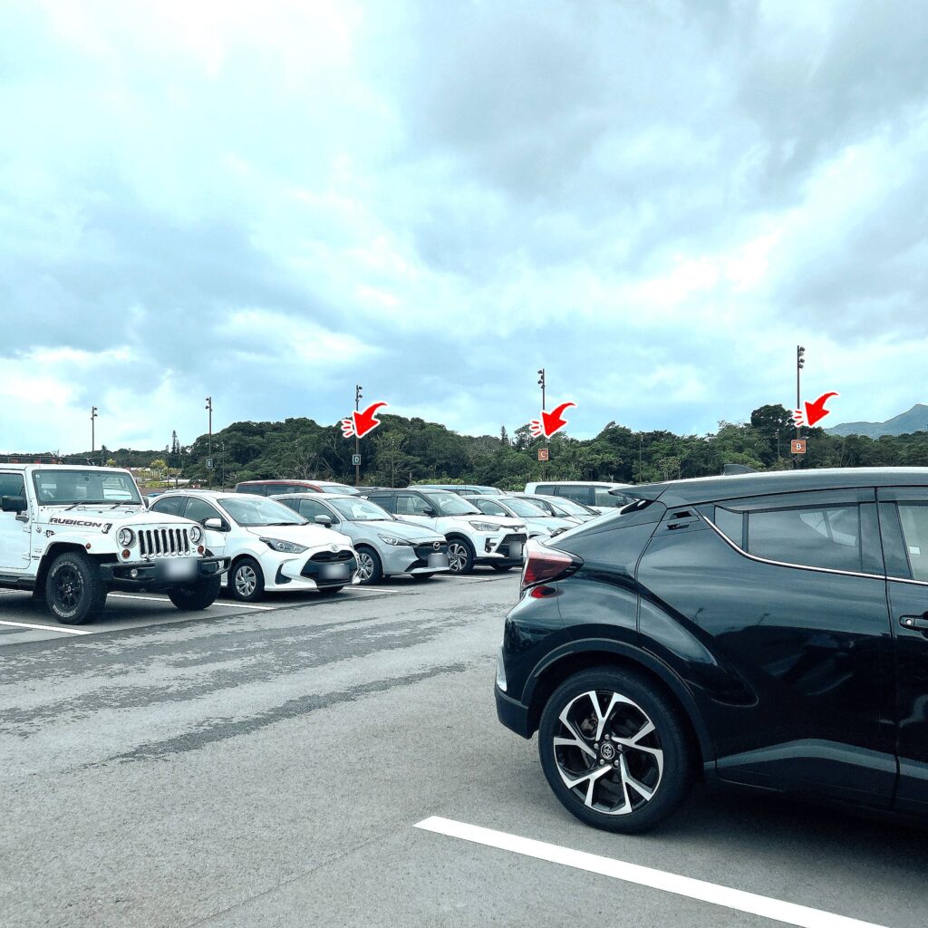 ジャングリア 駐車場│e-ne.okinawa