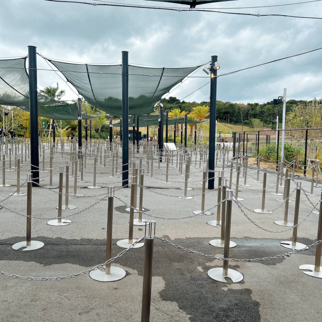 ダイナソーサファリ│e-ne.okinawa