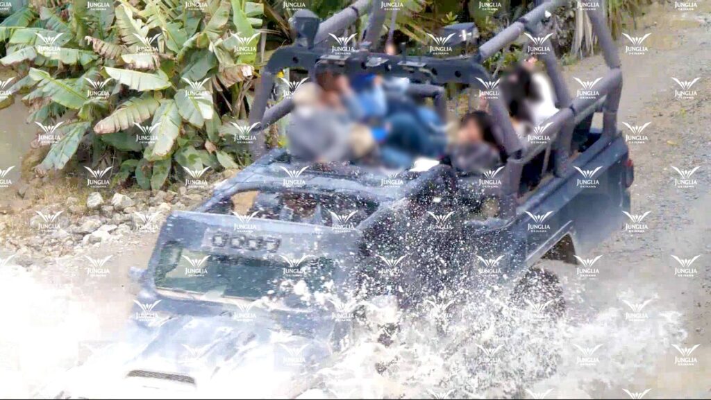 ダイナソーサファリ│e-ne.okinawa