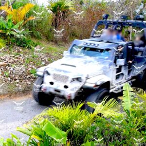 ダイナソーサファリ│e-ne.okinawa