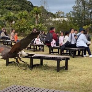 ネオパークオキナワ