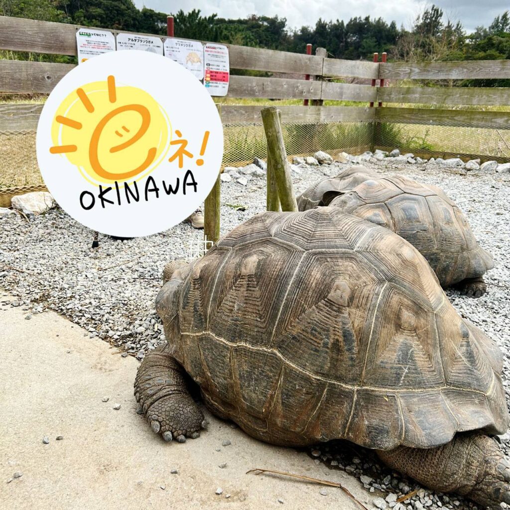 ネオパークオキナワ