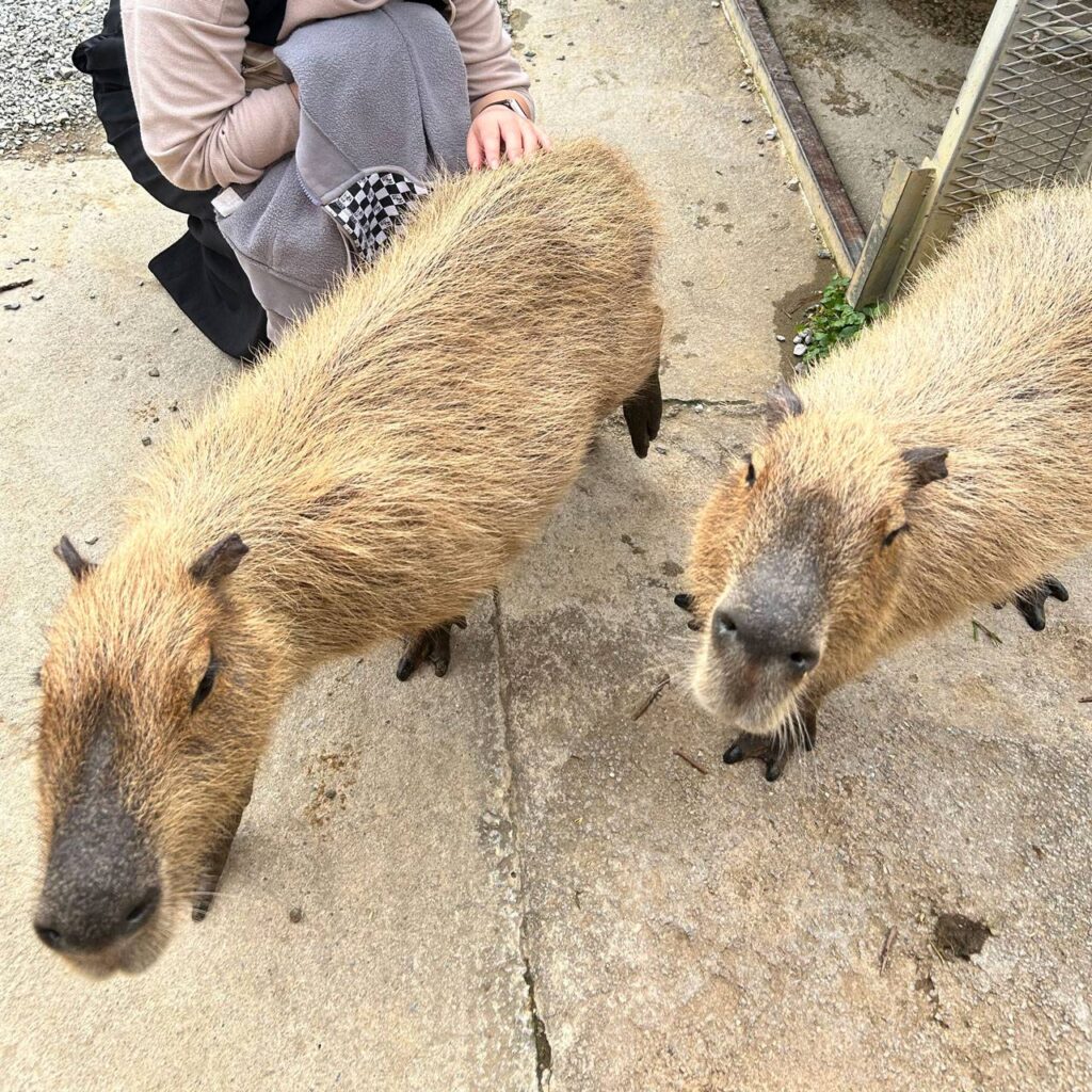 ネオパークオキナワ