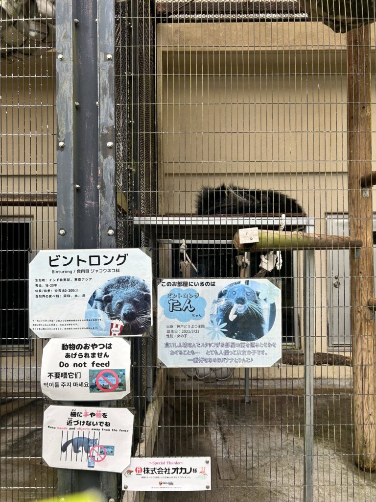ネオパークオキナワ