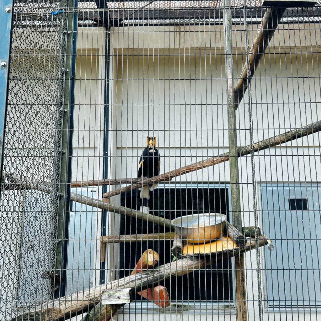 ネオパークオキナワ