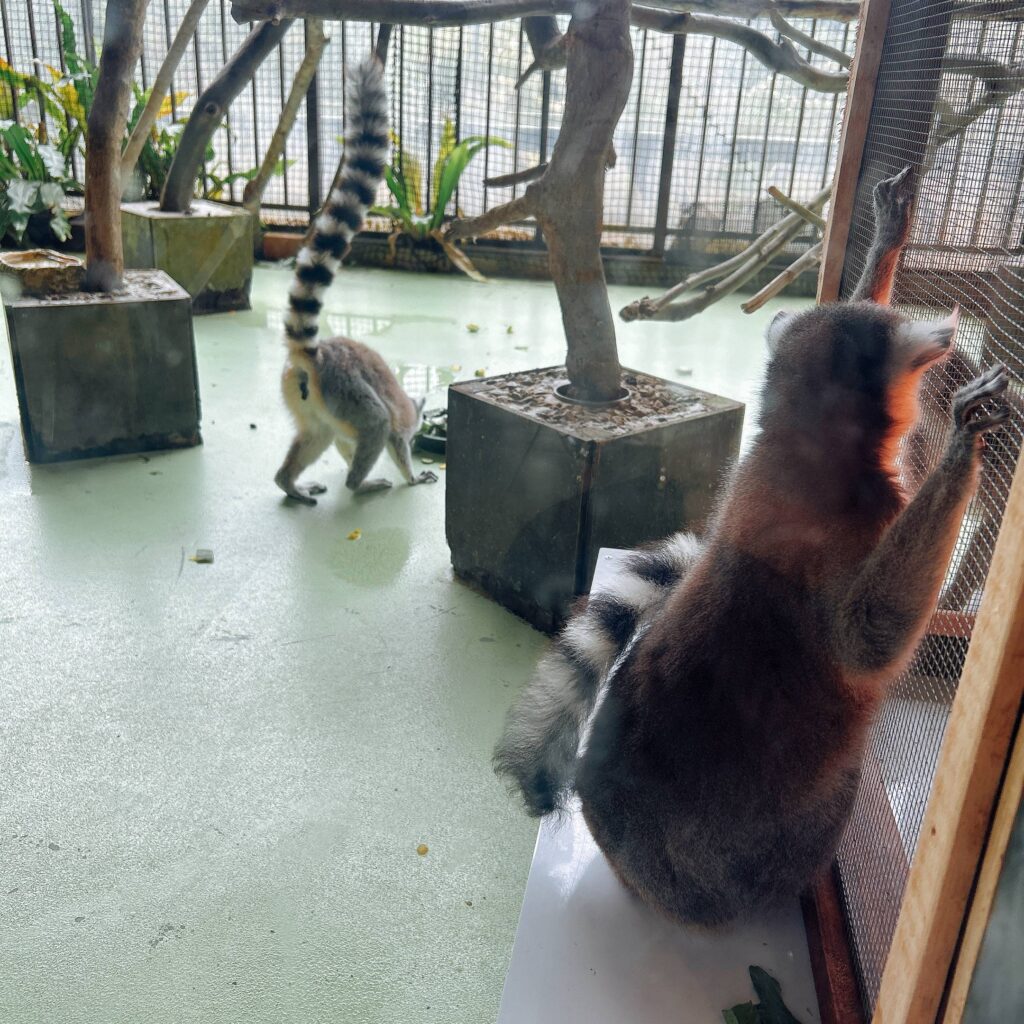 ネオパークオキナワ