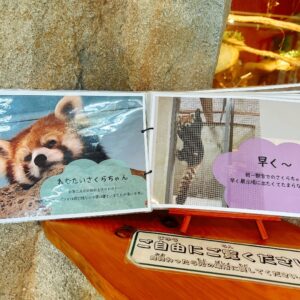 ネオパークオキナワ