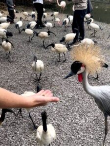 ネオパークオキナワ